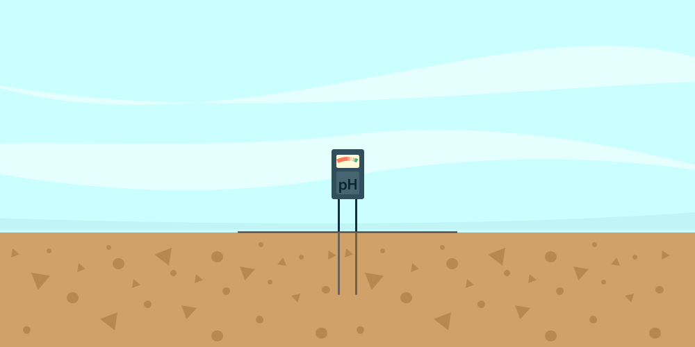 Moisture_meter_picture